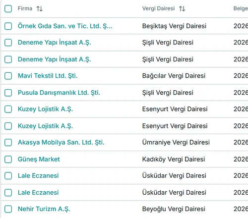 Vergi borcu listesinden bir kırpım: anapara, gecikme faizi ve toplam tutar.