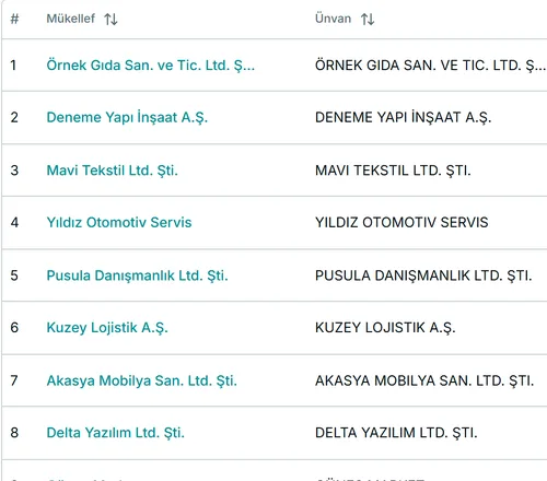 Mükellef listesi ekranından bir kırpım: firma adı, vergi numarası ve durum sütunları.
